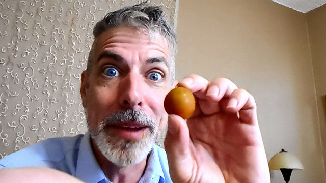 Gross Giant Eating Tomatoes - DADDY GIANT 31