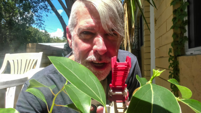 Go Climb a Tree, Tiny Stepson
