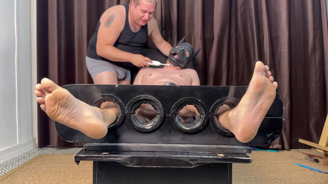 Pup Banjo's Tickle Audition